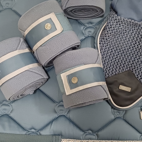 PS of Sweden Citadel set with perfect match Equestrian Stockholm full bonnet - Picture 2 of 2